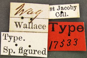 Media type: image;   Entomology 17533 Aspect: labels